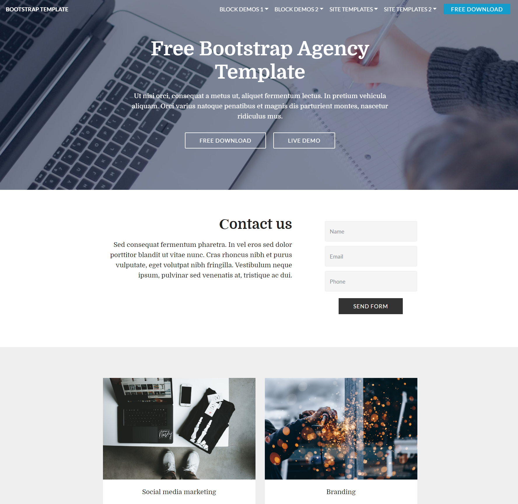Free Download Bootstrap  Agency Themes