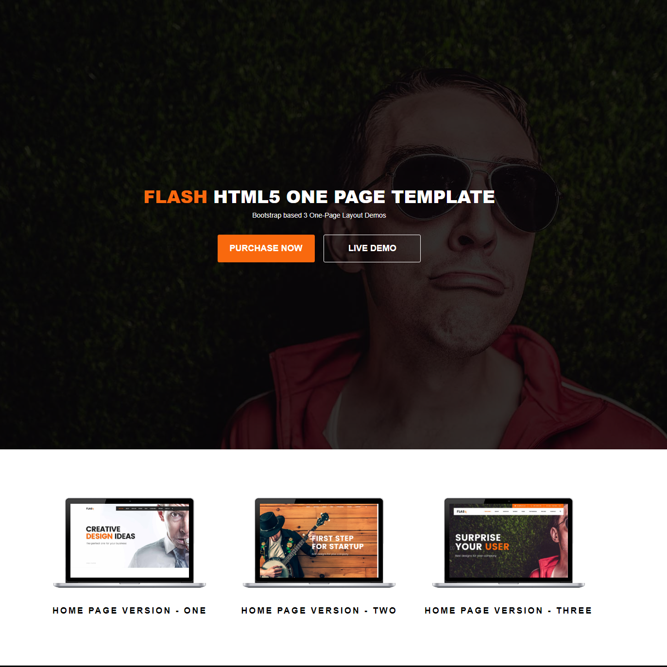 HTML Bootstrap Flash Templates