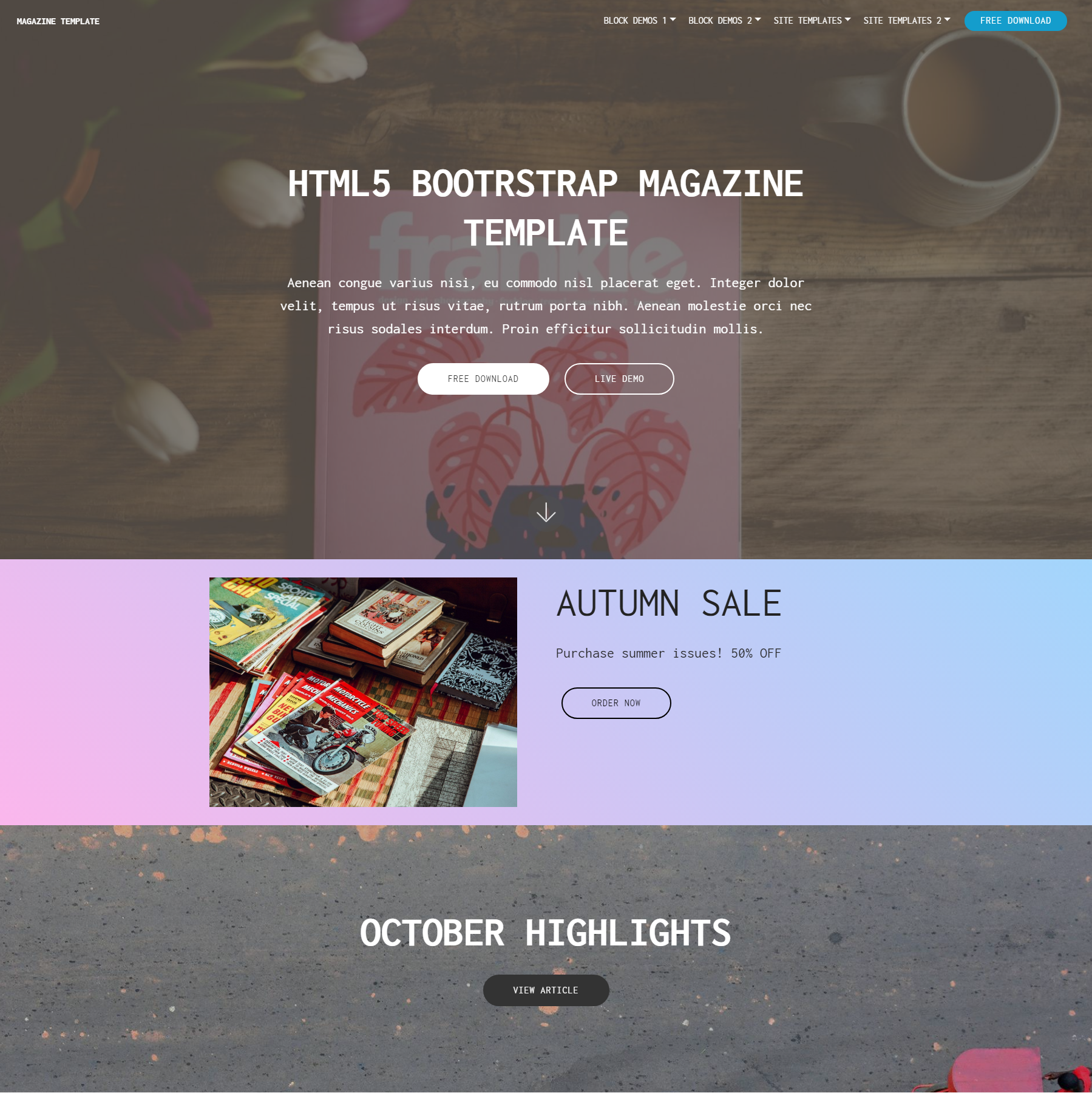 Free Download Bootstrap Magazine Templates